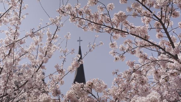 神戸の音楽と風景