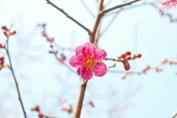 神戸市灘区　サークル音楽2日目