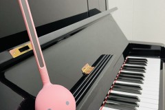 ピアノ教室・声楽教室　発表会！神戸ラピスホールで今年もやります！